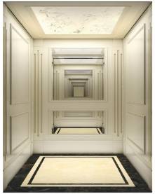 Home Elevator Luxurious Model