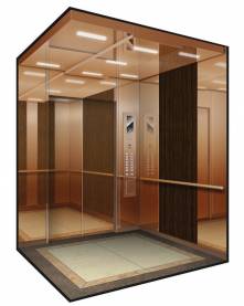 Home Elevator Bronze Model Cabin